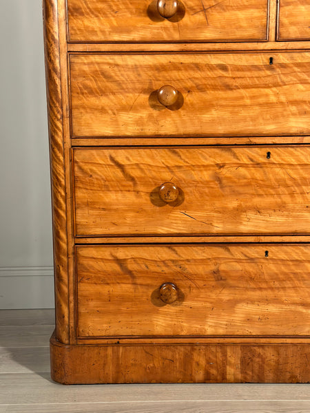 19th Century Satin Birch Housekeepers Cupboard