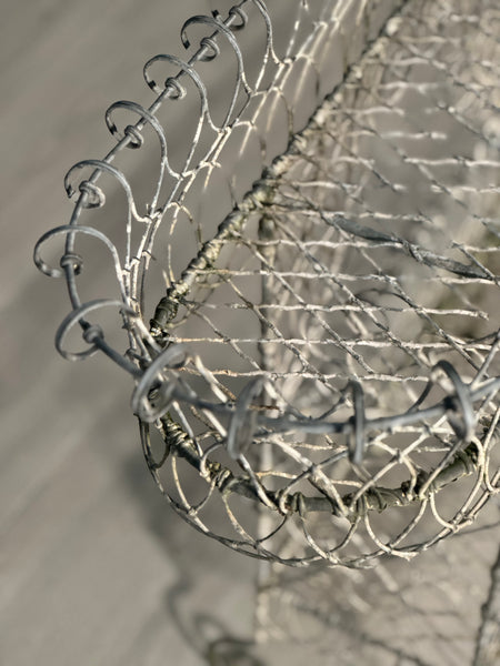 19th Century Wirework Garden Planter