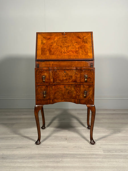 Small Antique Burr Walnut Writing Bureau c.1930