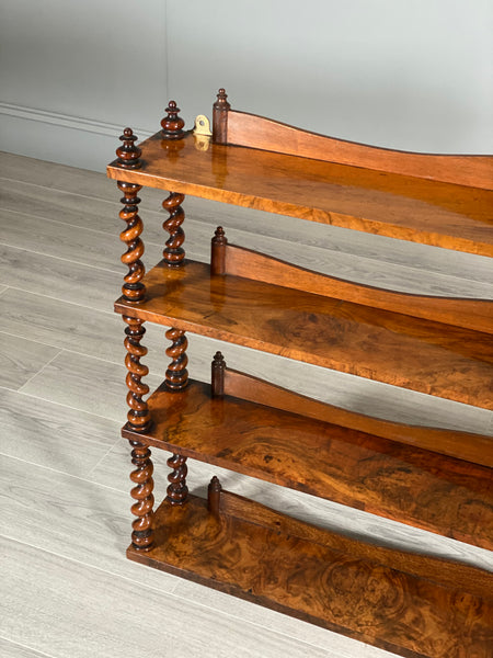 19th Century Burr Walnut Wall Hanging Shelves