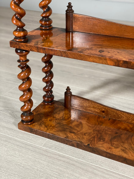 19th Century Burr Walnut Wall Hanging Shelves