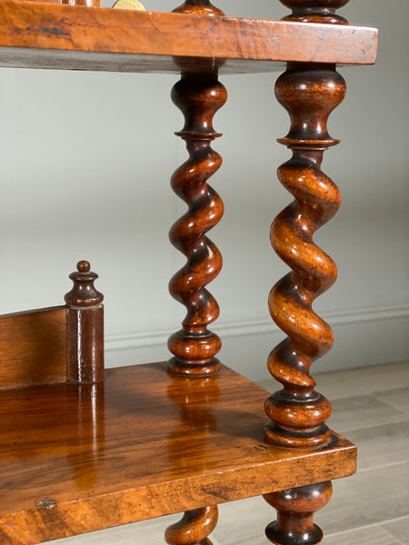 19th Century Burr Walnut Wall Hanging Shelves
